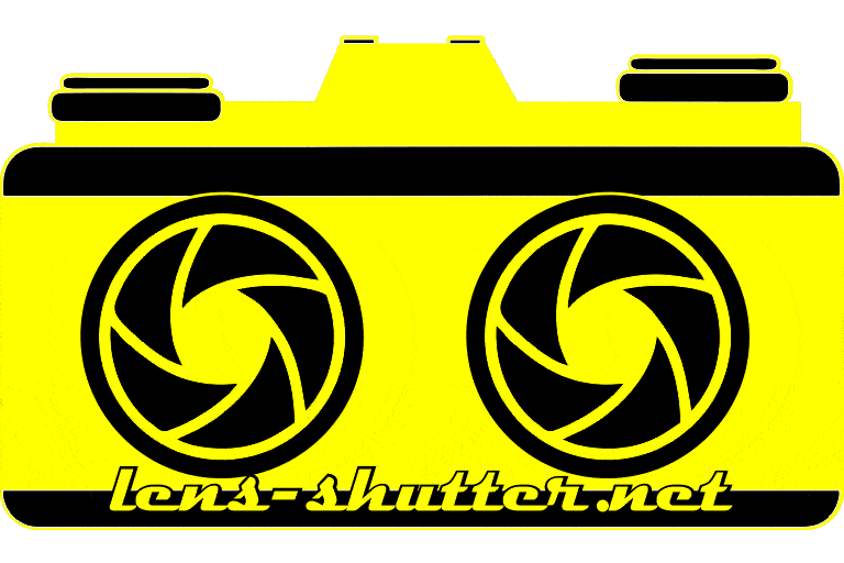 Lens-Shutter Stereo Logo