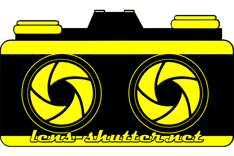 Lens-Shutter Stereo Logo